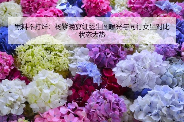黑料不打烊：杨紫晚宴红毯生图曝光与同行女星对比状态大热